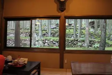 The café looks out onto a scene of deep and mysterious serenity