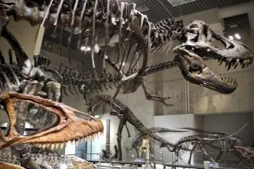 T-Rex Brothers