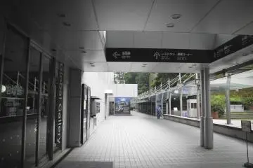 To the Global Gallery