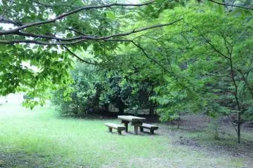 Bench (Photo: Erika Clark )