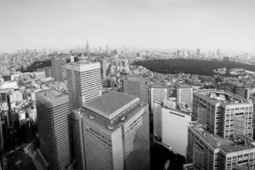 Panoramic View over Shinjuku Gyoen