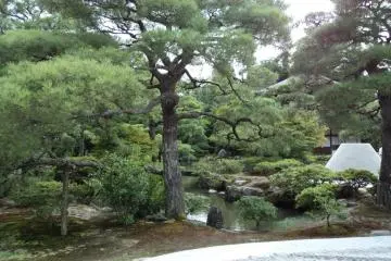 Mount Fuji in the sand garden
