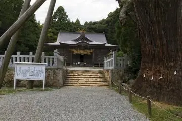 Tamawakasu-mikoto Shrine and the Yao-sugi