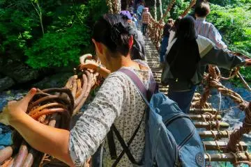 Crossing the vine bridge