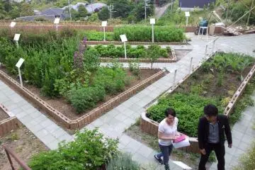 The herb and vegetable garden puts the "farm" in Farm Takanawa Club