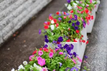 Neat flowerbeds lining the streets