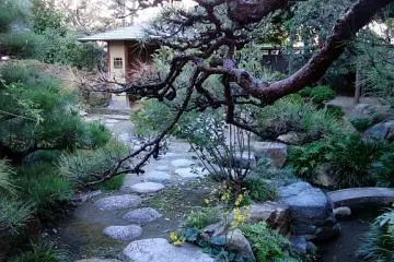 Japanese garden