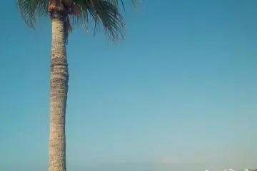 너무 예뻐요><...