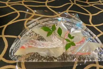 Snapper