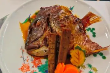 Snapper Head