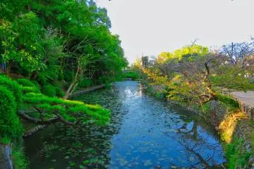Nogo Park