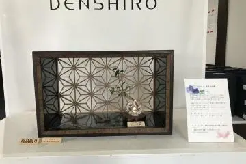 Boutique Denshiro, Semboku