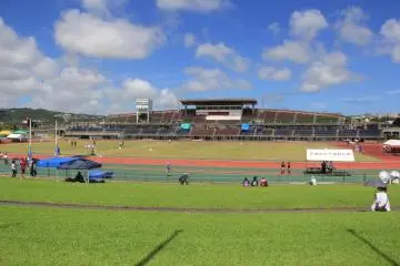 Stadion dapat menampung pengunjung sebanyak 25,000 orang di tempat duduk bergaya auditorium dan area berumput yang ada di sekeliling lapangan