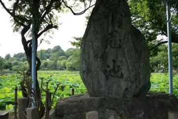 Statue by Shinobazu Pond