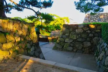 Ruin Walls