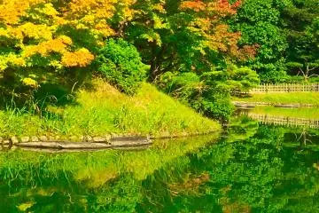 Fall Colors Ritsurin Garden