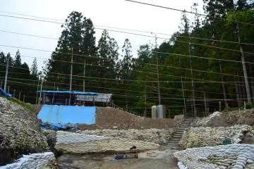 <p>관람객들이 직접 호박을 캐어 볼 수 있는 경험을 할 수 있도록 꾸며진 체험장</p>
