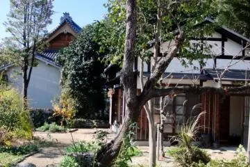 The garden