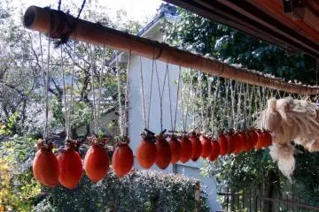 Jewel-like persimmon