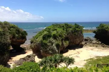 Most of the limestone bluffs have trails on them, but this one must be scaled