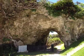 Walk trails along, atop and through limestone bluffs