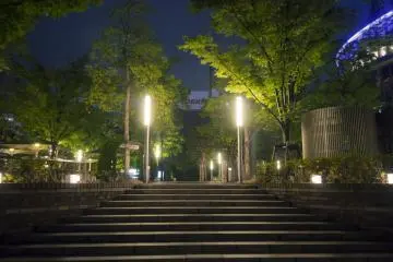 Spend some time in the glowing garden with friends