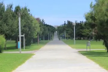There's lots of grassy areas separated by running trails