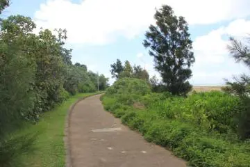 A walking and running path along the beach