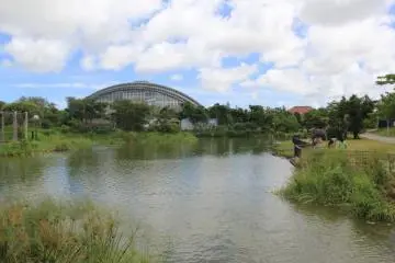 There are two large ponds at Okinawa Comprehensive Athletic Park; this one is near the campground