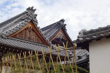 Bamboo fence for climbing roses