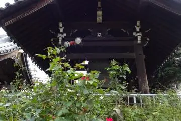 Temple bell near the entrance, and roses