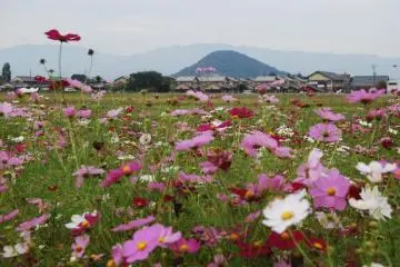 Medan kosmos dan gunung suci di kejauhan