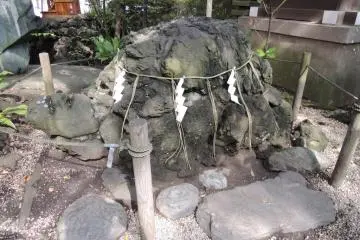 <p>Turtle-shaped rock</p>