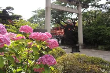 <p>Flowers by the shrine</p>