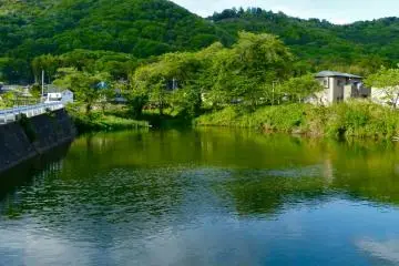 Pass this pond and soon Daichu-ji Temple will appear