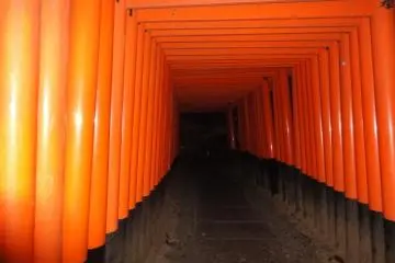 <p>Fushimi Inari at night</p>