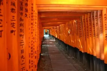 <p>Fushimi Inari at Day</p>