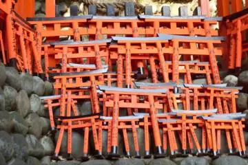 <p>Small torii</p>