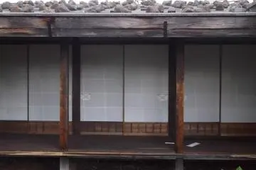 The interior windows from the yard