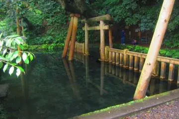A purification pond located near a rear entrance to the shrine