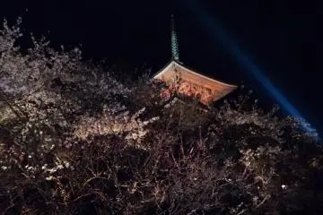 Kiyomizu Dera during the Sakura Season