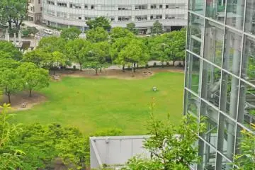 Tenjin Central Park is directly in front of the building. (Photo: Michelle Madden)