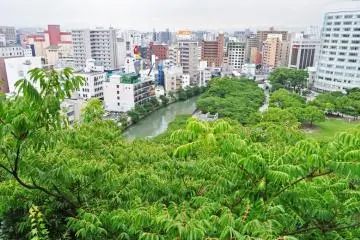 I love the contrast between the vegetation and the city.