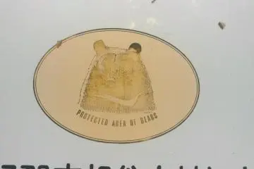 Beware of bears