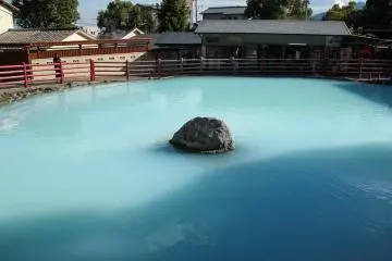 Beppu Kamado Jigoku