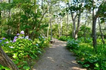 이시키 해변 산길