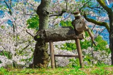 Kinugasa Park Wood carvings