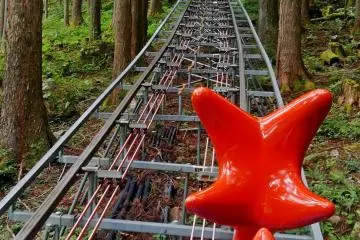 The track