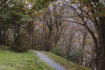 The beginnings of fall foliage