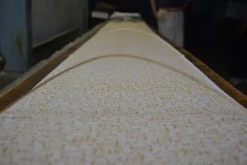 <p>Batang bambu ditancapkan sepanjang kain basah yang sudah diberi motif.</p>